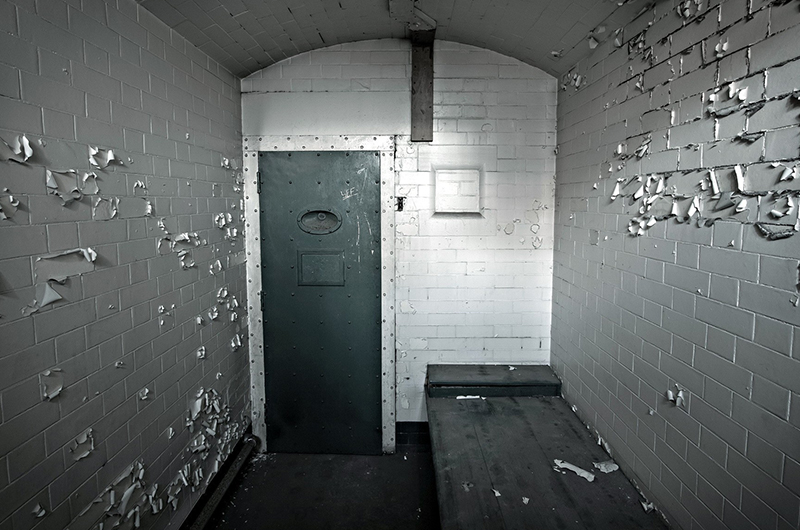 Cras gravida tristique odio sit