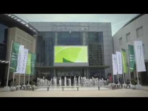 Cras gravida tristique odio sit