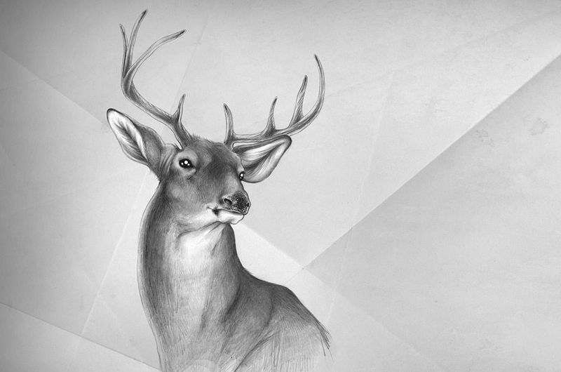 Description of image Description of image Description of image Description of image 